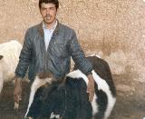 در حال دریافت تصویر  ...