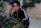 در حال دریافت تصویر  ...