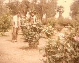در حال دریافت تصویر  ...