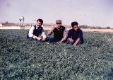 در حال دریافت تصویر  ...