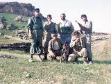 در حال دریافت تصویر  ...