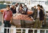 در حال دریافت تصویر  ...
