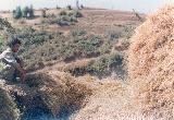 در حال دریافت تصویر  ...