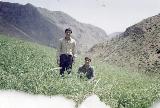 در حال دریافت تصویر  ...