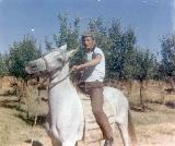در حال دریافت تصویر  ...