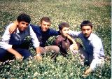 در حال دریافت تصویر  ...